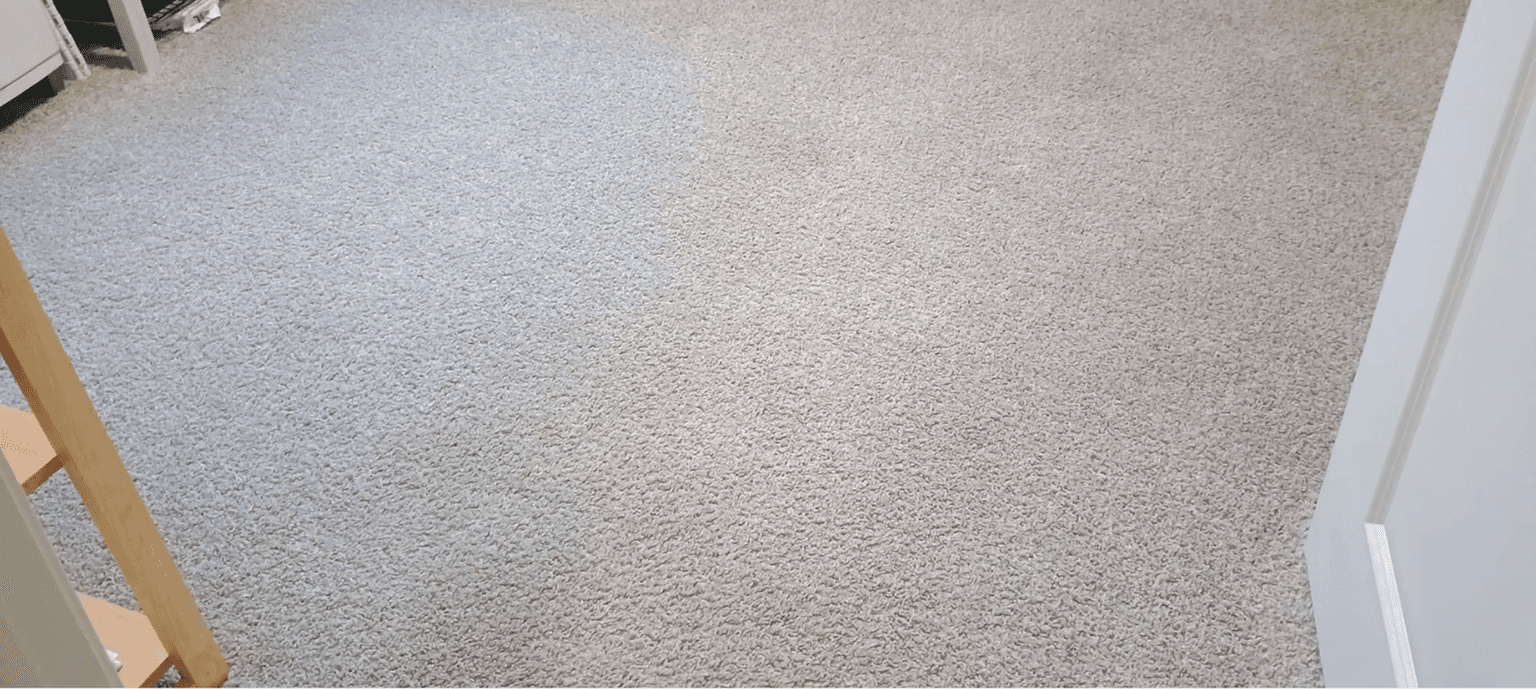 Pet Odor & Stain Removal