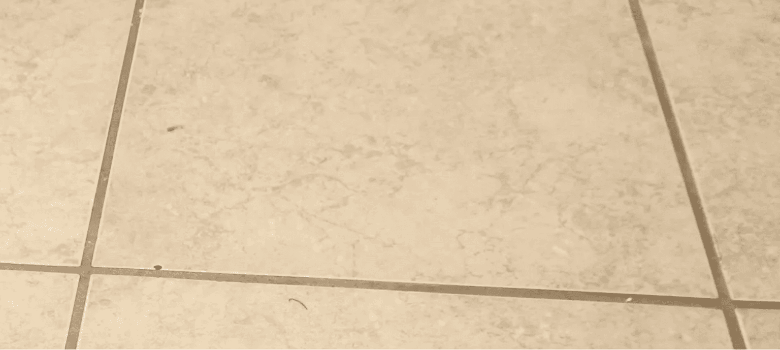 Tile & Grout Cleaning